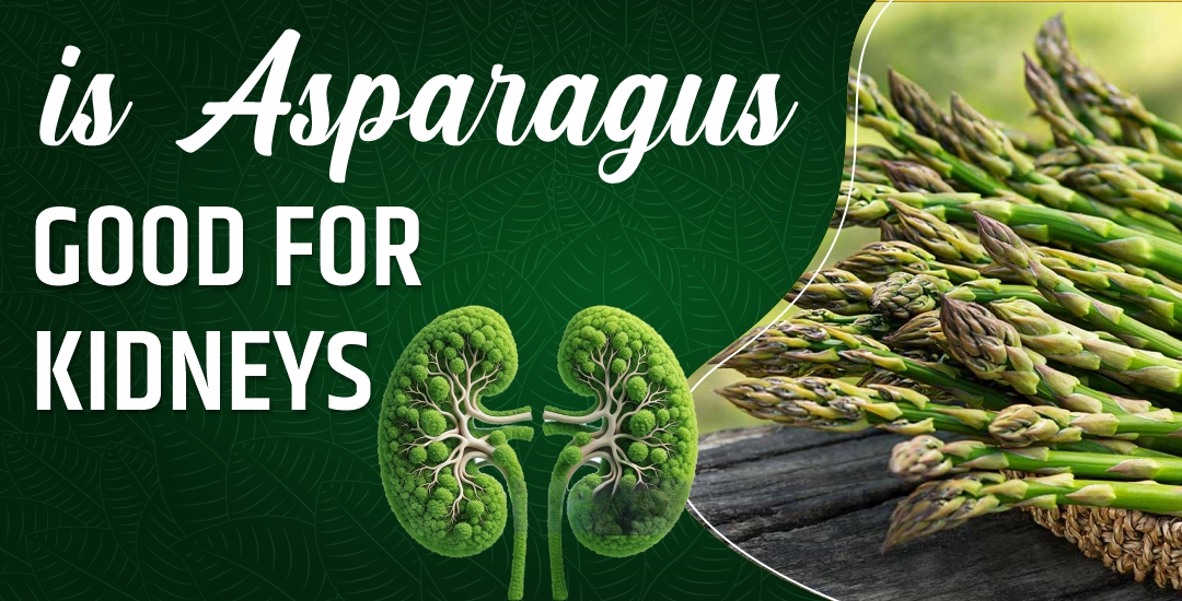 Is Asparagus Good for Kidneys? 